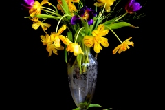 vergänglich trotz Frühling