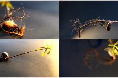 In-Serie-entsteht-Ilse-Wecker2023